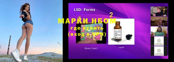 ГАЛЛЮЦИНОГЕННЫЕ ГРИБЫ Иннополис
