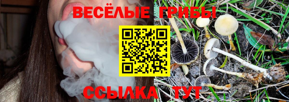 Галлюциногенные грибы ЛСД Краснотурьинск